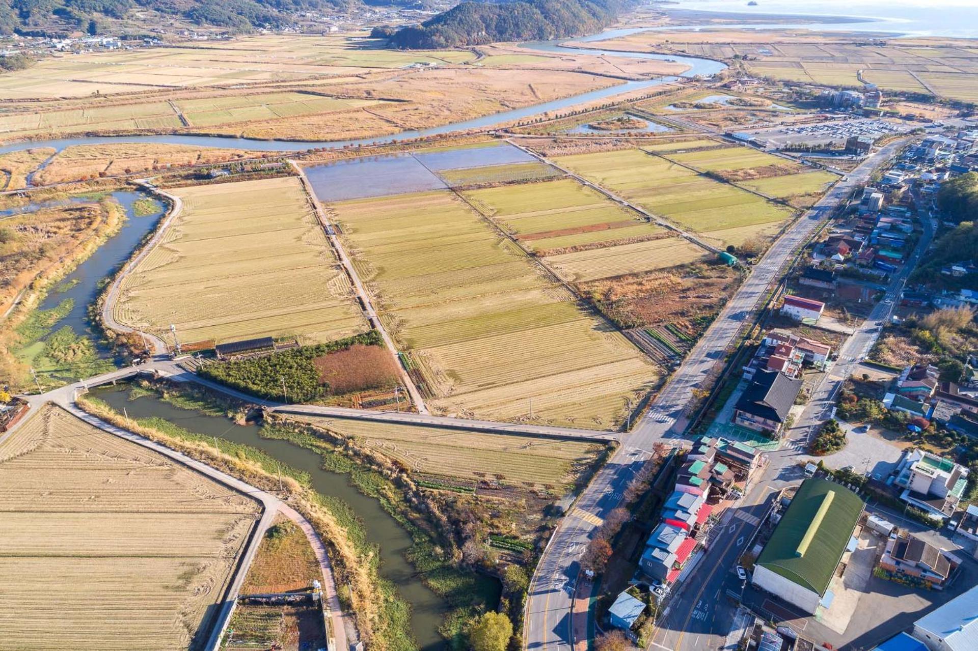 Suncheonbay Reed Field * Suncheon
